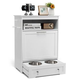 Pet Feeder Station with Stainless Steel Bowl (Color: White)